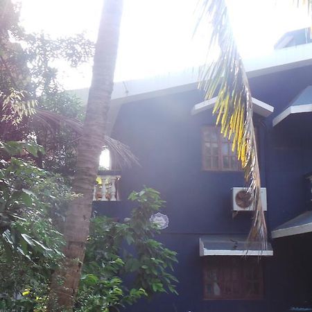 كالانغيُت Alina Guest House المظهر الخارجي الصورة