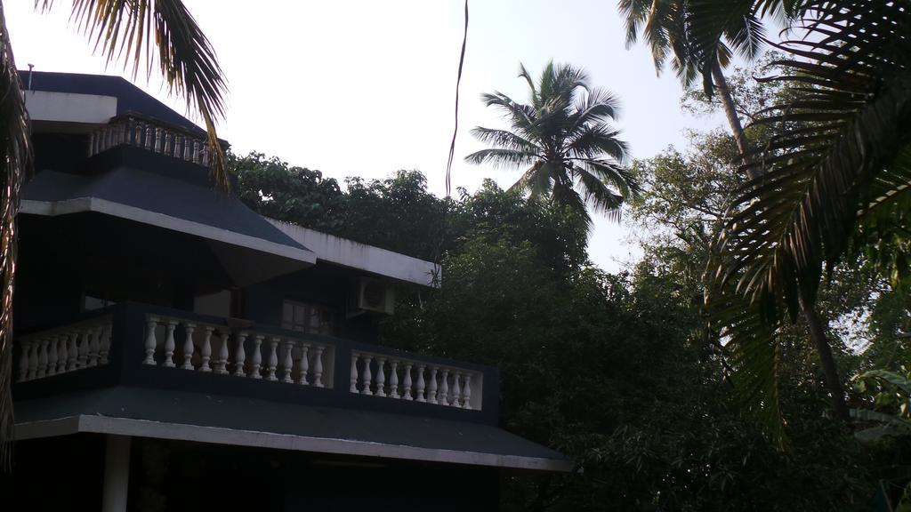 كالانغيُت Alina Guest House المظهر الخارجي الصورة