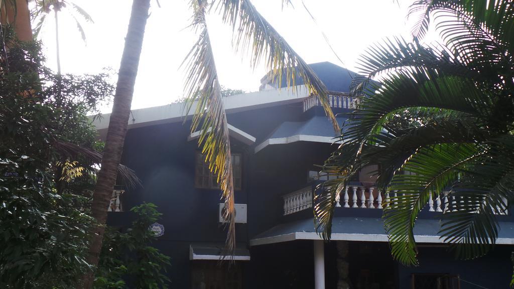 كالانغيُت Alina Guest House المظهر الخارجي الصورة